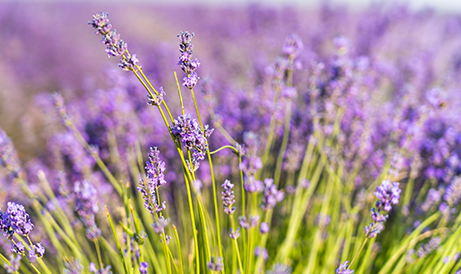 20230726180402